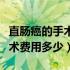 直肠癌的手术费用大概得多少钱（直肠癌的手术费用多少）