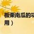 板栗南瓜的功效及营养（板栗南瓜的功效和作用）