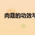 肉蔻的功效与副作用（肉蔻的功效是什么）