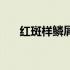 红斑样鳞屑斑（鳞屑性斑是怎么回事）