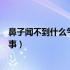 鼻子闻不到什么气味是怎么回事（鼻子闻不到气味是怎么回事）