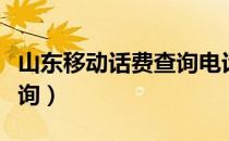 山东移动话费查询电话号码（山东移动话费查询）