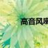 高音风喇叭(关于高音风喇叭简述)