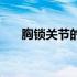 胸锁关节的解剖图（胸锁关节的位置）