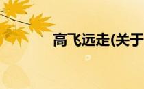 高飞远走(关于高飞远走简述)
