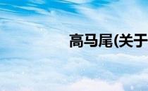 高马尾(关于高马尾简述)