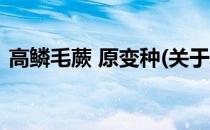 高鳞毛蕨 原变种(关于高鳞毛蕨 原变种简述)