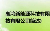 高鸿新能源科技有限公司(关于高鸿新能源科技有限公司简述)