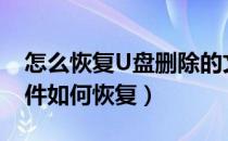 怎么恢复U盘删除的文件（移动u盘删除的文件如何恢复）