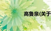 高鲁泉(关于高鲁泉简述)