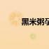黑米粥孕妇（黑米粥孕妇能吃吗）