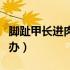 脚趾甲长进肉里怎么办（脚趾甲长进肉里怎么办）