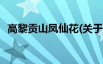 高黎贡山凤仙花(关于高黎贡山凤仙花简述)