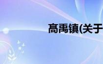 髙禹镇(关于髙禹镇简述)