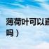 薄荷叶可以直接擦脸吗（薄荷叶可以直接泡水吗）