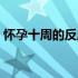怀孕十周的反应是怎样的（怀孕十周的症状）