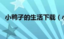 小鸭子的生活下载（小鸭子的生活中文版）