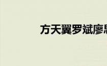 方天翼罗斌廖思成（方天翼）