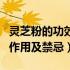 灵芝粉的功效与作用及坏处（灵芝粉的功效与作用及禁忌）