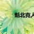 魁北克人党(关于魁北克人党简述)