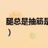 腿总是抽筋是怎么了（腿总是抽筋是怎么回事）