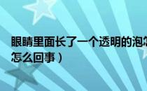 眼睛里面长了一个透明的泡怎么办（眼睛里长了一个透明泡怎么回事）