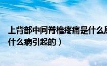 上背部中间脊椎疼痛是什么原因引起的（背部脊椎中间疼是什么病引起的）