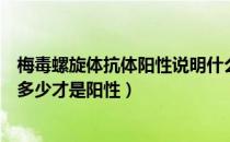 梅毒螺旋体抗体阳性说明什么（梅毒螺旋体特异性抗体测定多少才是阳性）