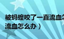被蚂蝗咬了一直流血怎么办（被蚂蝗咬了一直流血怎么办）