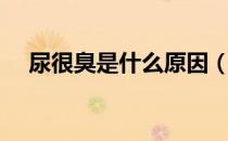 尿很臭是什么原因（尿很臭是什么原因）