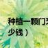 种植一颗门牙要多少钱?（种植一颗下门牙多少钱）