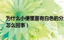 为什么小便里面有白色的分泌物?（小便时有白色分泌物是怎么回事）
