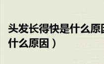 头发长得快是什么原因引起的（头发长得快是什么原因）
