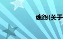 魂怨(关于魂怨简述)