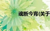 魂断今宵(关于魂断今宵简述)