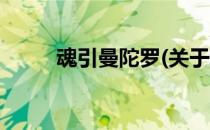 魂引曼陀罗(关于魂引曼陀罗简述)