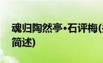 魂归陶然亭·石评梅(关于魂归陶然亭·石评梅简述)