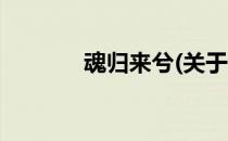 魂归来兮(关于魂归来兮简述)