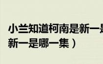 小兰知道柯南是新一是哪集（小兰知道柯南是新一是哪一集）