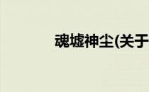 魂墟神尘(关于魂墟神尘简述)