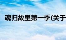 魂归故里第一季(关于魂归故里第一季简述)