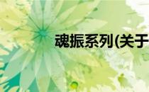 魂振系列(关于魂振系列简述)