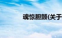魂惊胆颤(关于魂惊胆颤简述)