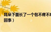 耳朵下面长了一个包不疼不痒（耳朵下面长了个包不疼怎么回事）