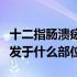 十二指肠溃疡好发部位是（十二指肠溃疡都好发于什么部位）