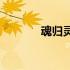 魂归灵界(关于魂归灵界简述)