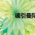魂引曼陀罗(关于魂引曼陀罗简述)