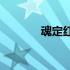 魂定红尘(关于魂定红尘简述)