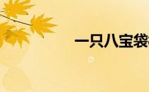 一只八宝袋样样都能装