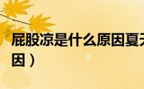 屁股凉是什么原因夏天也凉（屁股凉是什么原因）